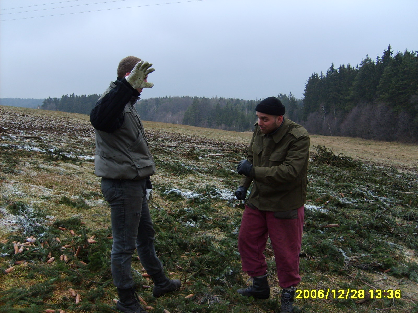 S5000039.JPG